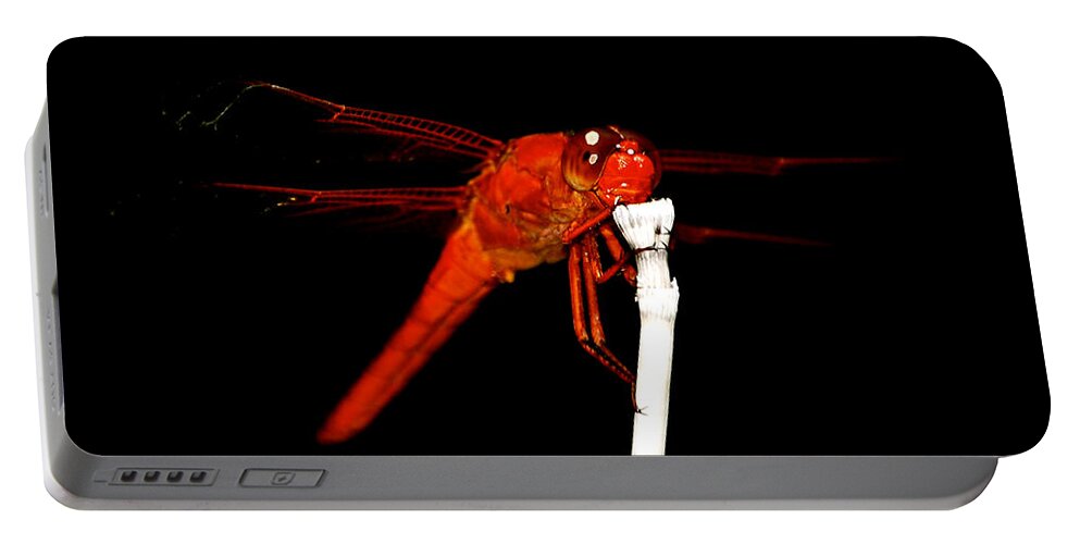  Red Dragonfly Portable Battery Charger featuring the photograph Fire Red Dragon by Peggy Franz