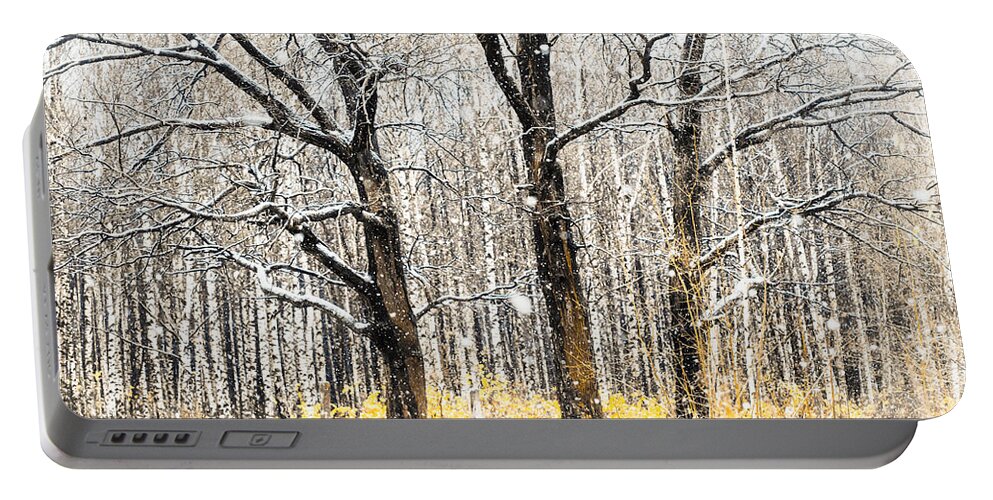 Snow Portable Battery Charger featuring the photograph First Snow. Tree Brothers by Jenny Rainbow