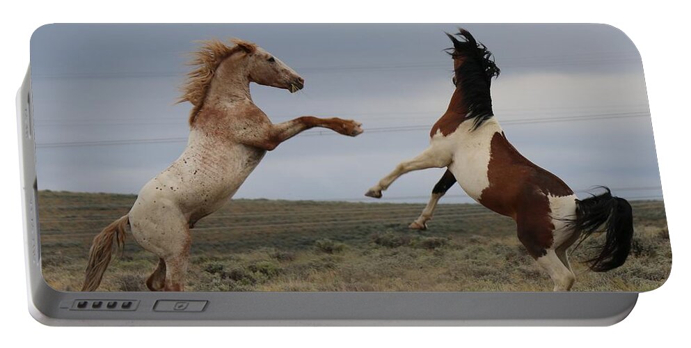 Portable Battery Charger featuring the photograph Fist Fight by Christy Pooschke