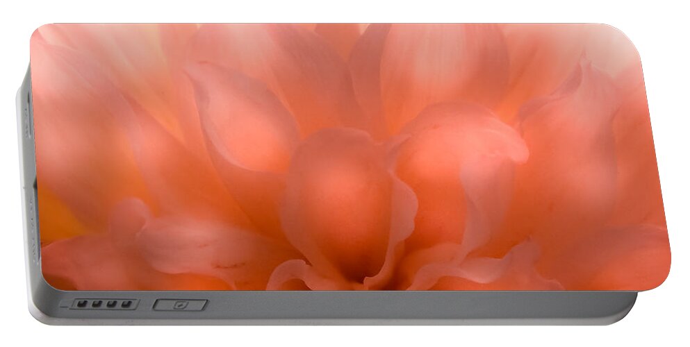 Dahlias Portable Battery Charger featuring the photograph Flaming Dahlia by Karen Wiles