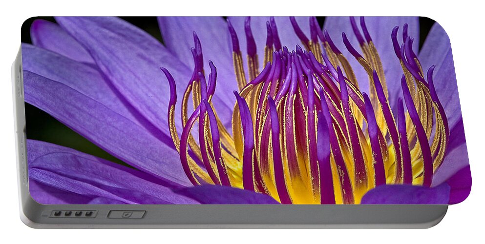 Waterlily Portable Battery Charger featuring the photograph Flaming Heart by Susan Candelario
