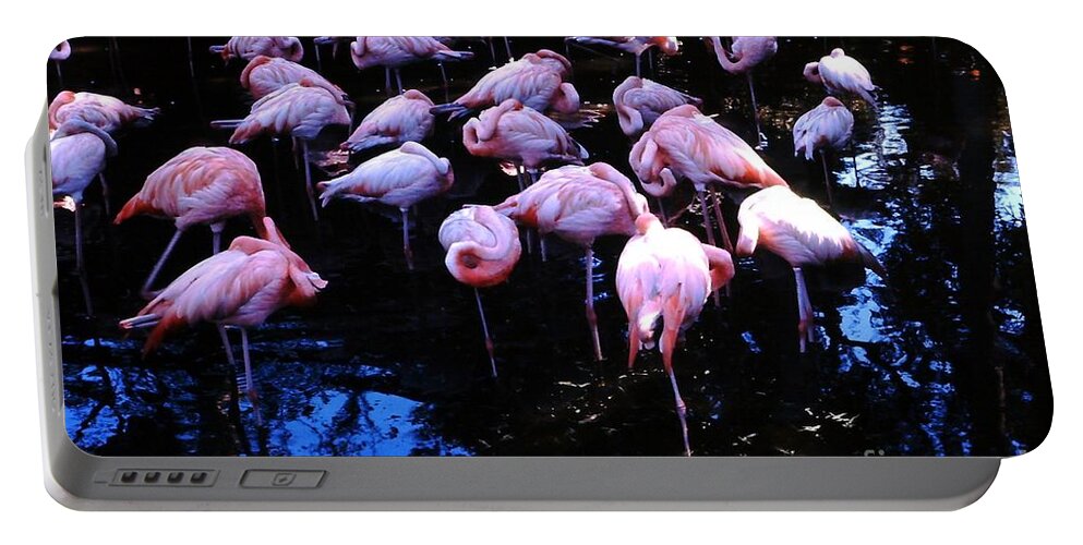 Flamingo Portable Battery Charger featuring the photograph Flamingo - Florida - Animals by Susan Carella