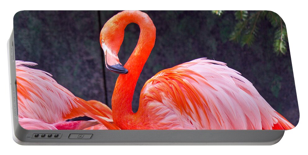National Portable Battery Charger featuring the photograph Flamingo in the Wild by Jonny D