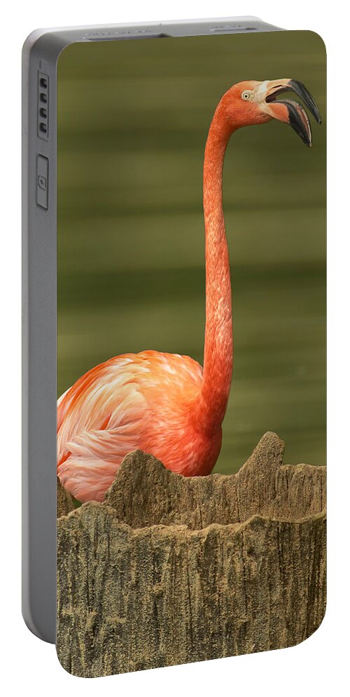 Bird Portable Battery Charger featuring the photograph Flamingo Speaks by Bill and Linda Tiepelman