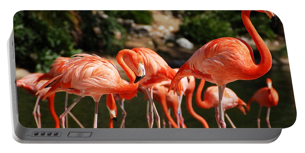 Flamingo Portable Battery Charger featuring the photograph Flamingos by Aimee L Maher ALM GALLERY