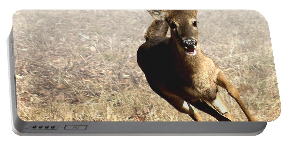 Deer Portable Battery Charger featuring the photograph Flee by Bill Stephens