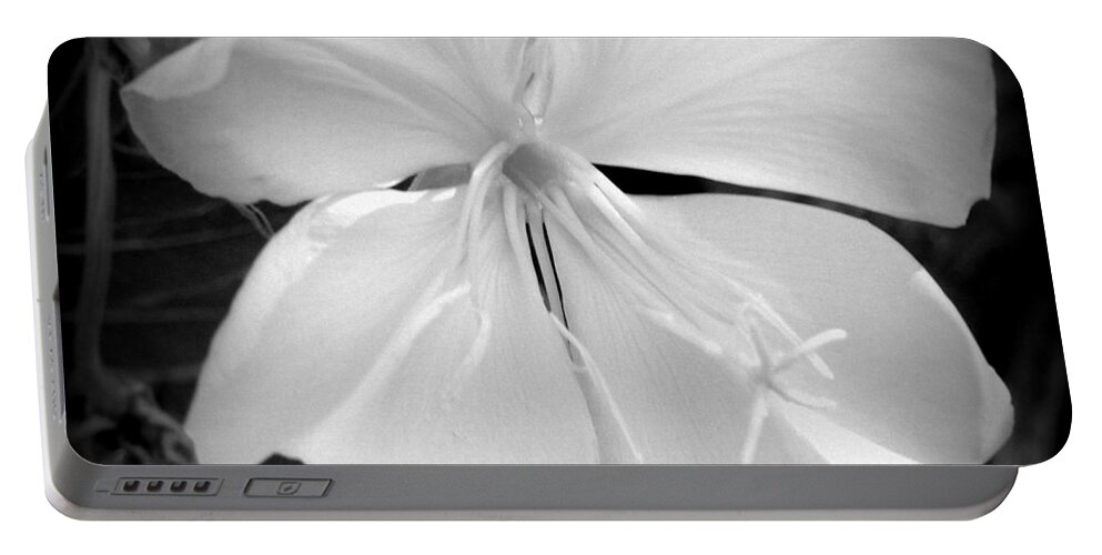 Flower Portable Battery Charger featuring the photograph Fleurir by Megan Ford-Miller