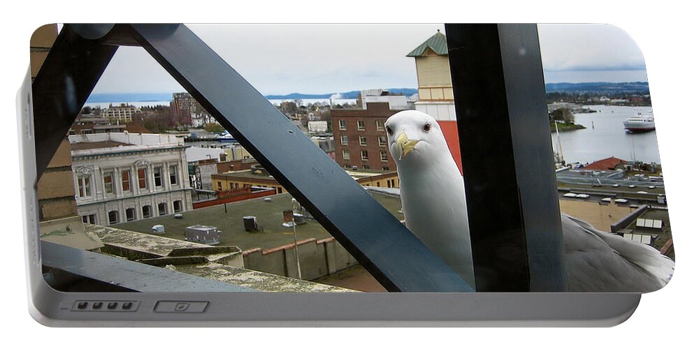 Seagull Portable Battery Charger featuring the photograph Flew in for lunch by Cheryl Hoyle