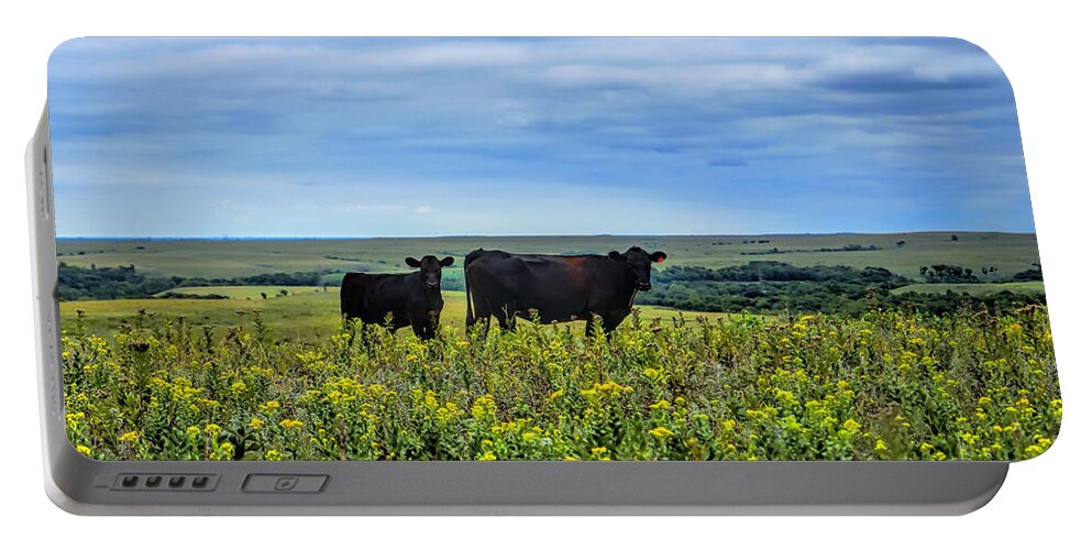 Cattle Portable Battery Charger featuring the photograph Flint Hills Cattle by Alan Hutchins