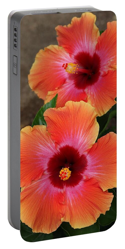 Hibiscus Portable Battery Charger featuring the photograph Floral Beauty 2 by Christy Pooschke