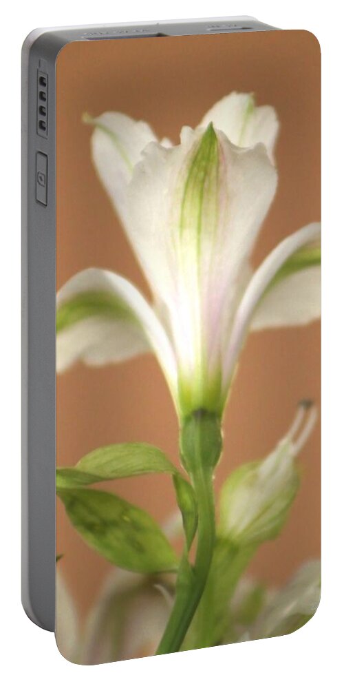 Flower Portable Battery Charger featuring the photograph Floral Tones by Deborah Crew-Johnson