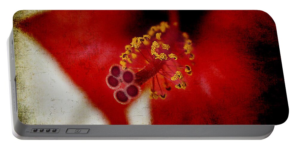 Flower Portable Battery Charger featuring the photograph Flower Abstract by Milena Ilieva