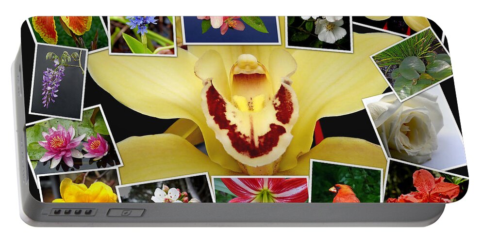 Macro Portable Battery Charger featuring the photograph Flower Collage by Pete Trenholm