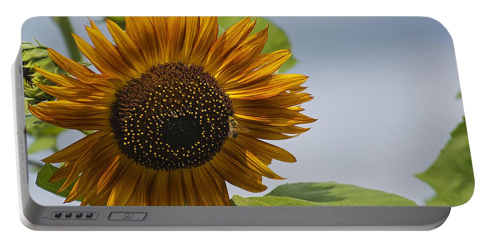 Nature Portable Battery Charger featuring the photograph Flower in the Sun by Kenneth Albin