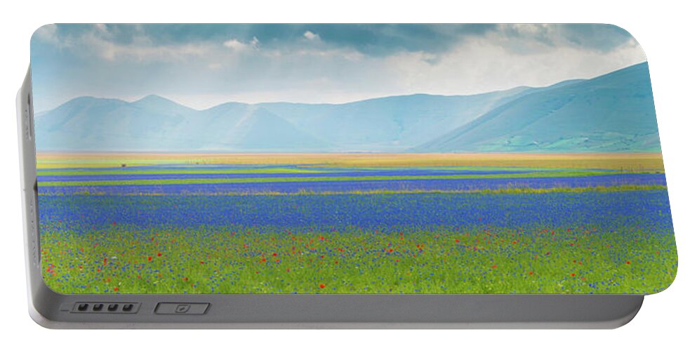 Photography Portable Battery Charger featuring the photograph Flowering Plants With Mountain Range by Panoramic Images