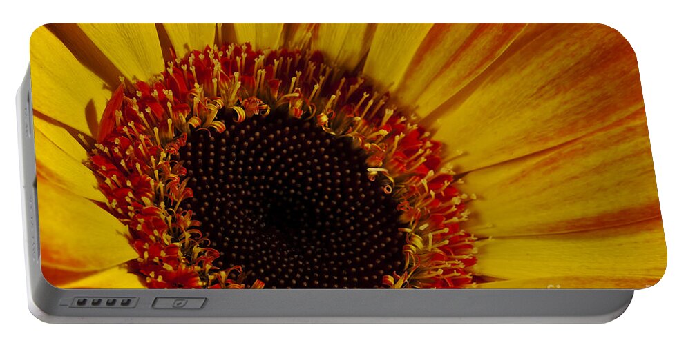 Close Up Portable Battery Charger featuring the photograph Flowers by Gunnar Orn Arnason
