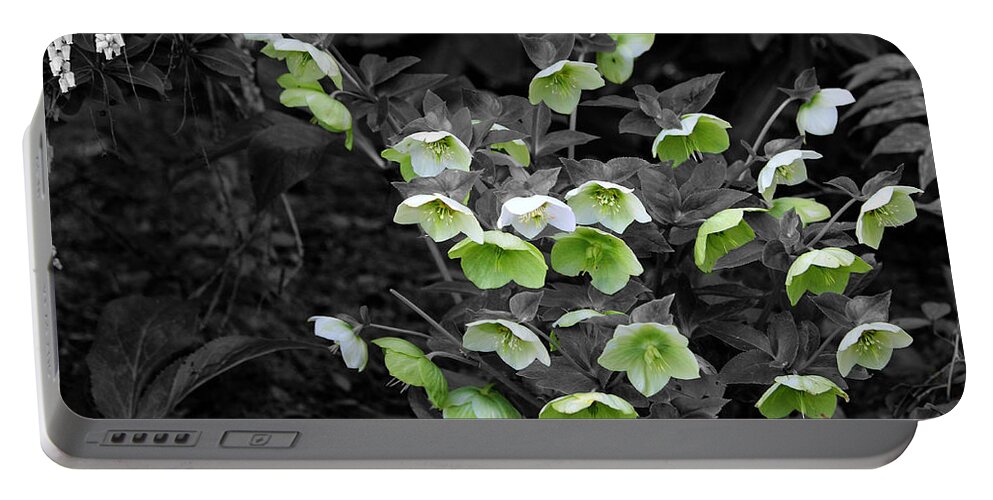 Green Flowers Portable Battery Charger featuring the photograph Flowers In Yashiro Garden In Black and White by Jeanette C Landstrom