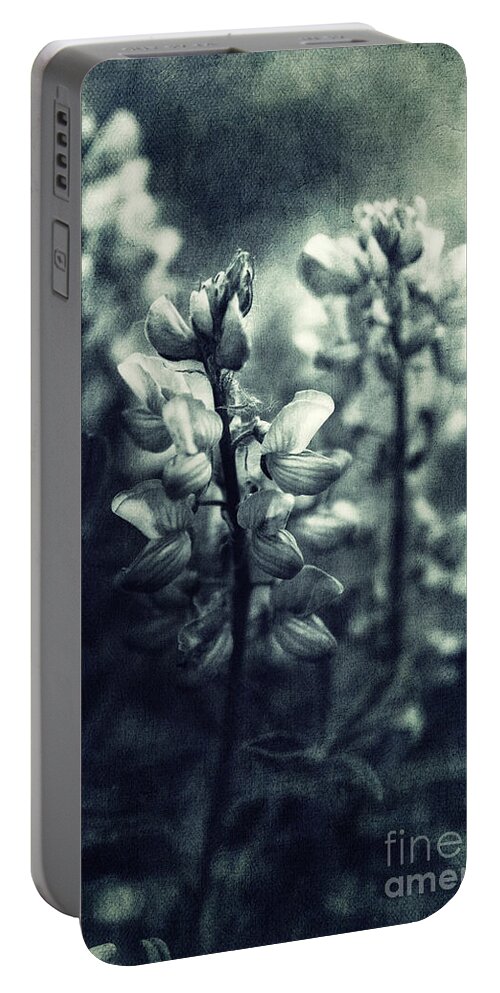 Monochromatic Portable Battery Charger featuring the photograph Arctic Lupines by Priska Wettstein