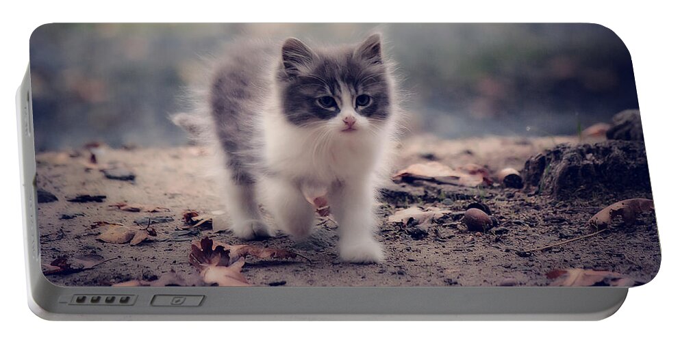 Kitten Portable Battery Charger featuring the photograph Fluffy Cuteness by Melanie Lankford Photography