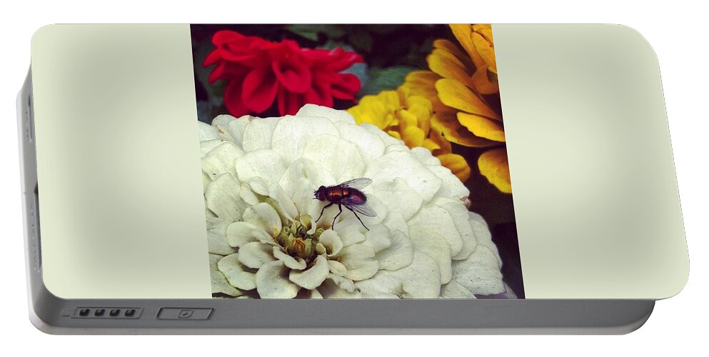 Fly Portable Battery Charger featuring the photograph Fly by Katie Cupcakes