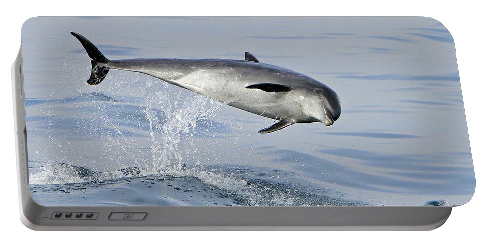 Bottlenose Dolphin Portable Battery Charger featuring the photograph Flying Sideways by Shoal Hollingsworth