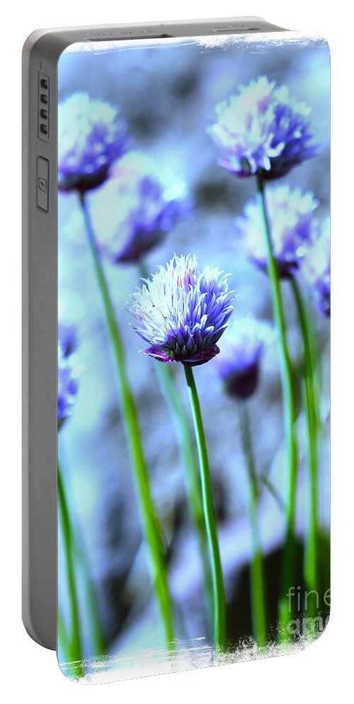 Chive Portable Battery Charger featuring the photograph Focus on One Chive with Border by Carol Groenen
