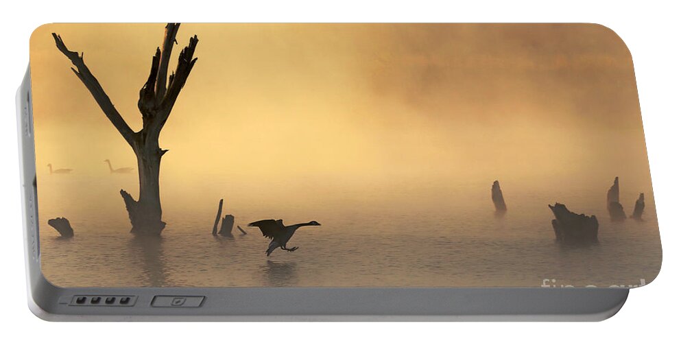 Fog Portable Battery Charger featuring the photograph Foggy Landing by Elizabeth Winter