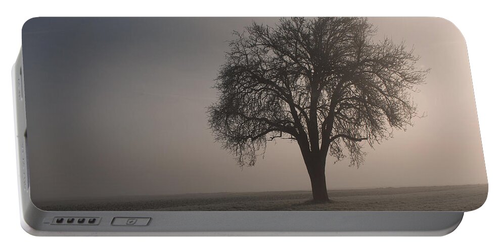 Sale Portable Battery Charger featuring the photograph Foggy Morning Sunshine by Miguel Winterpacht
