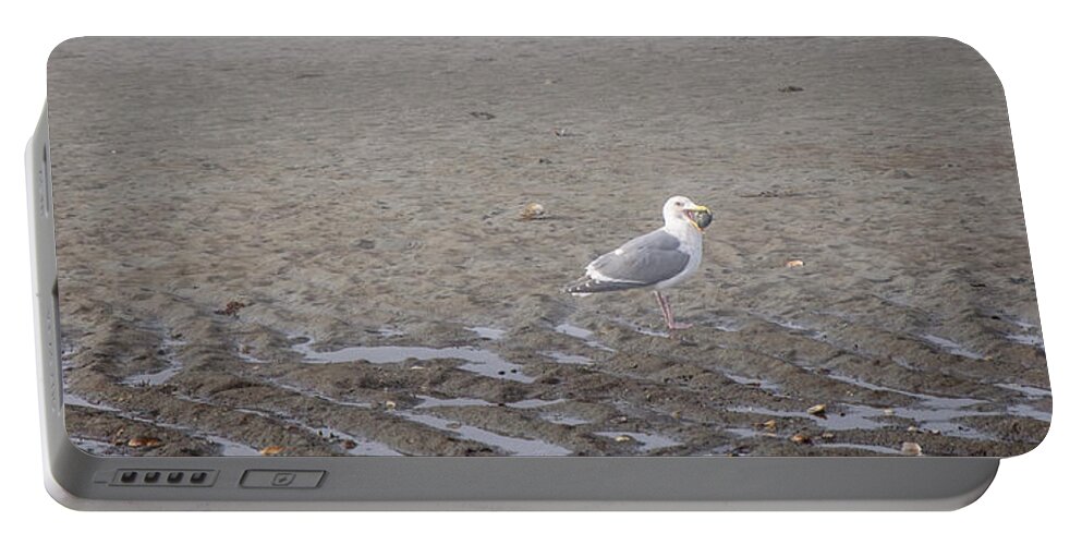 Fog Portable Battery Charger featuring the photograph Foggy Seabird Seagulls Brunch by Roxy Hurtubise