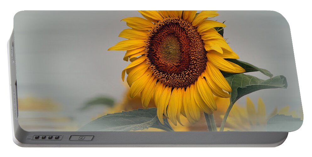 Sunflowers Portable Battery Charger featuring the photograph Foggy Sunflowers by Kathy Churchman