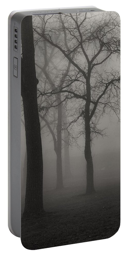 Fog Portable Battery Charger featuring the photograph Foggy Trees by Lauri Novak