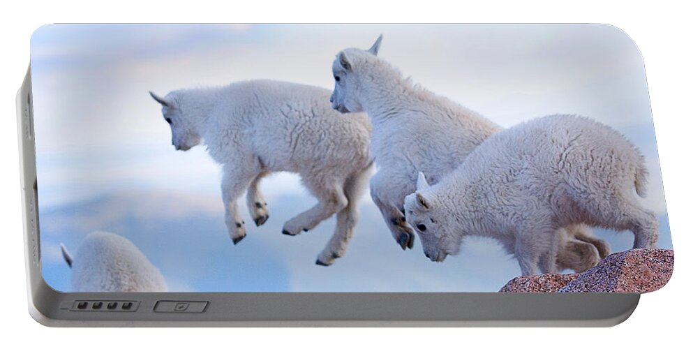Mountain Goats; Posing; Group Photo; Baby Goat; Nature; Colorado; Crowd; Baby Goat; Mountain Goat Baby; Happy; Joy; Nature; Brothers Portable Battery Charger featuring the photograph Follow the Leader by Jim Garrison