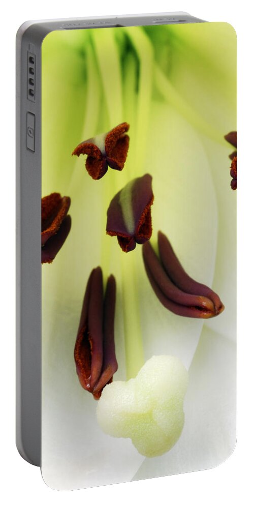 For The Love Of Lilies Portable Battery Charger featuring the photograph For The Love Of Lilies 1 by Wendy Wilton