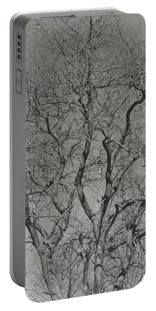 Trees Portable Battery Charger featuring the photograph For The Love Of Trees - 2 - Monochrome by Hany J