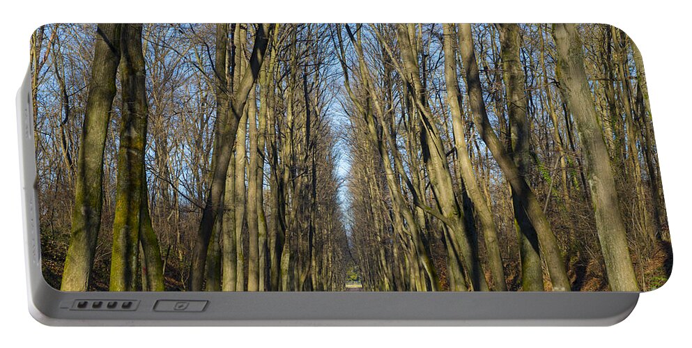 Alley Portable Battery Charger featuring the photograph Forest alley by Mats Silvan