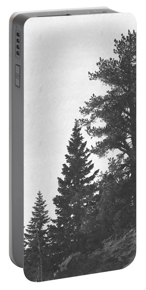  Forest Portable Battery Charger featuring the photograph Forest Ridge by Frank Wilson
