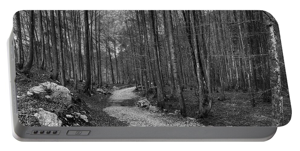 Autumn Portable Battery Charger featuring the photograph Forest trail BW by Ivan Slosar