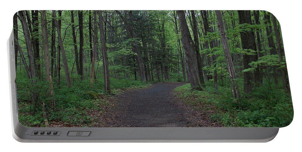 Nature Portable Battery Charger featuring the photograph Forest trail by Catherine Gagne