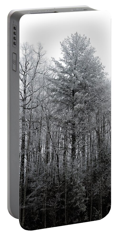 Landscape Portable Battery Charger featuring the photograph Forest With Freezing Fog by Daniel Reed