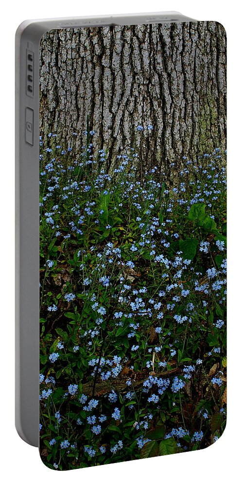 Forget-me-not Blossoms Portable Battery Charger featuring the photograph Forget-Me-Not by Randy Pollard