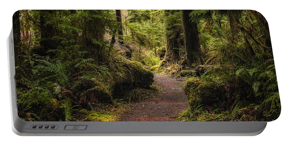 Nature Portable Battery Charger featuring the photograph Forest Walk by Jennifer Magallon