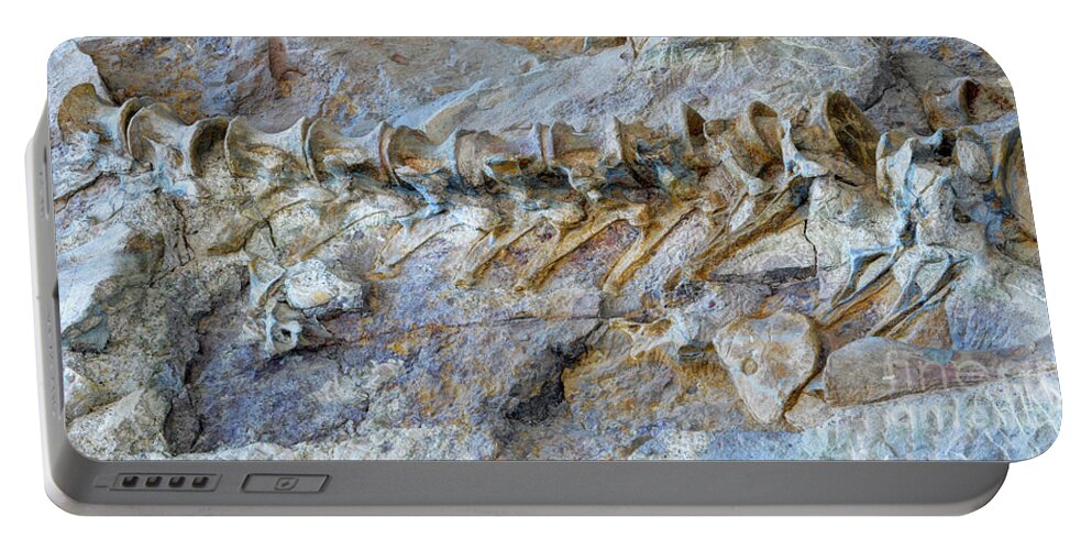 Fossil Portable Battery Charger featuring the photograph Fossilized Dinosaur Backbone - Dinosaur National National Monument by Gary Whitton