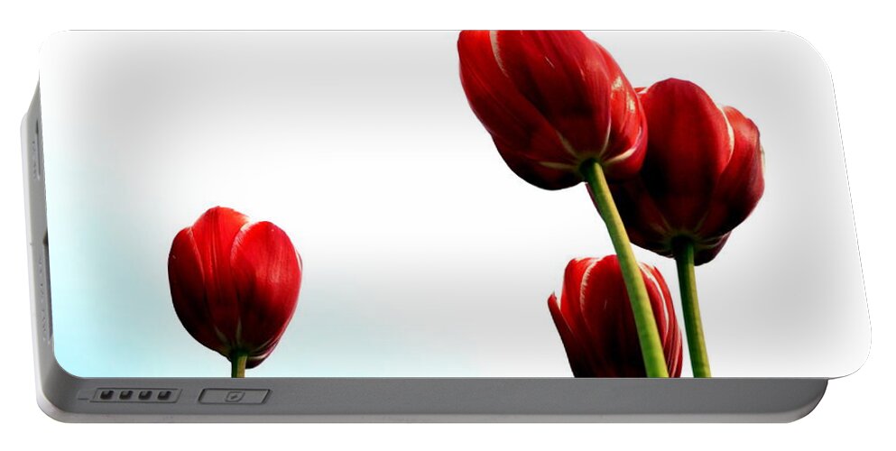 Hollander Portable Battery Charger featuring the photograph Four Red Tulips by Michelle Calkins