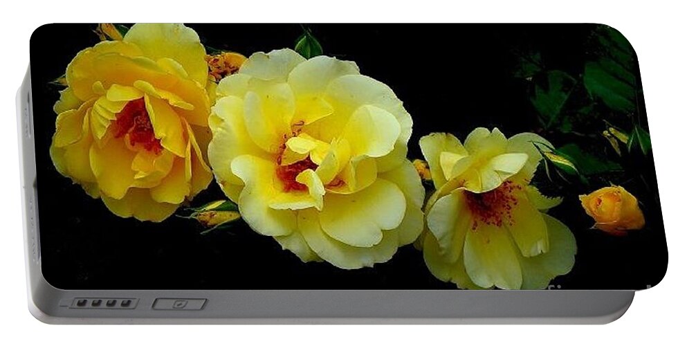 Four Stages Bloom Photograph Portable Battery Charger featuring the photograph Four Stages of Bloom of a Yellow Rose by Janette Boyd