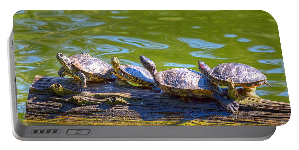 Golden Gate Park Portable Battery Charger featuring the photograph Four Turtles by Kate Brown
