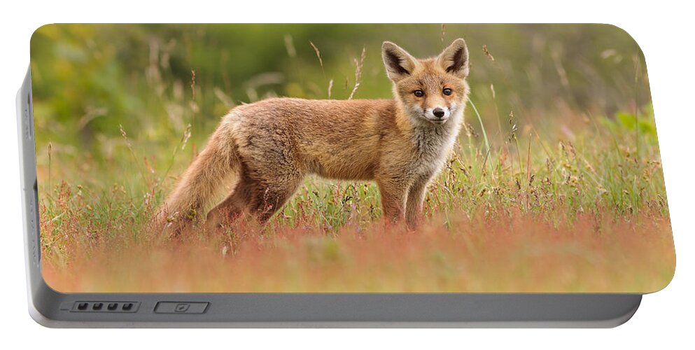 Afternoon Portable Battery Charger featuring the photograph Fox Kit in a Field of Sorrel by Roeselien Raimond