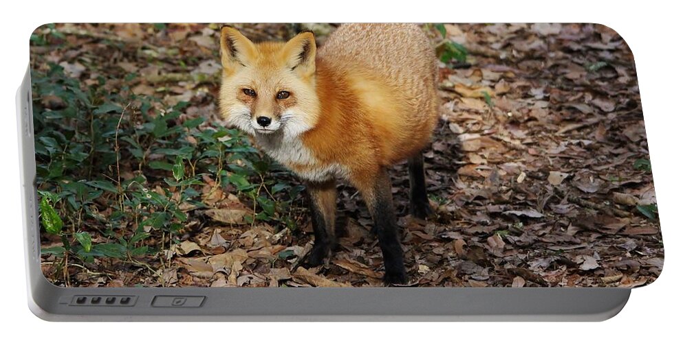 Fox Portable Battery Charger featuring the photograph Fox by Paulette Thomas