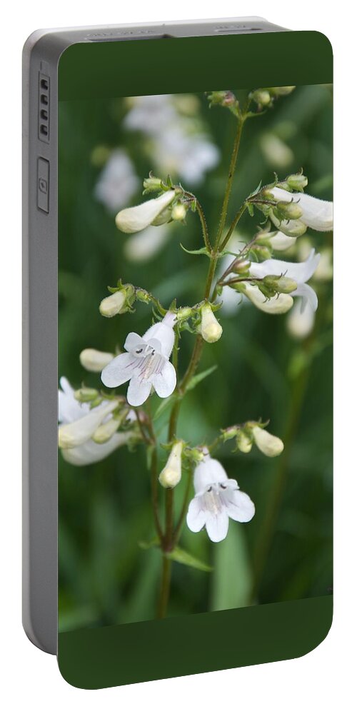 Native Flowers Portable Battery Charger featuring the photograph Foxglove Beardtongue by Kristin Hatt