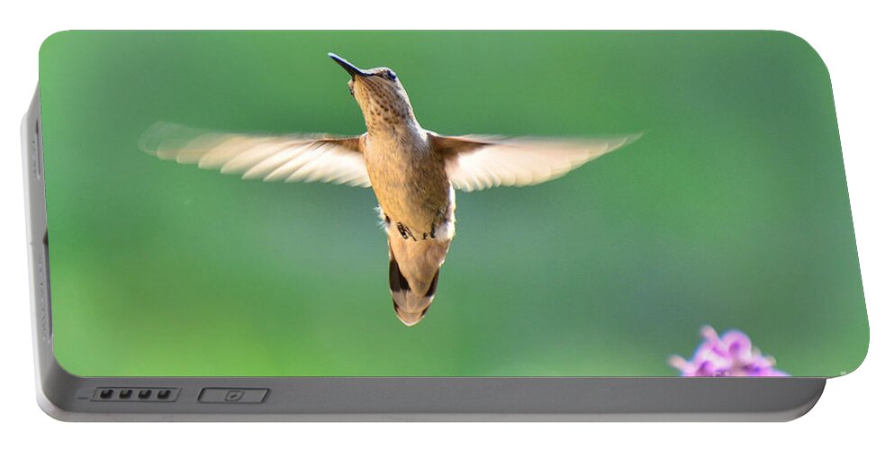 Hummingbird Portable Battery Charger featuring the photograph Free to Dance by Debby Pueschel
