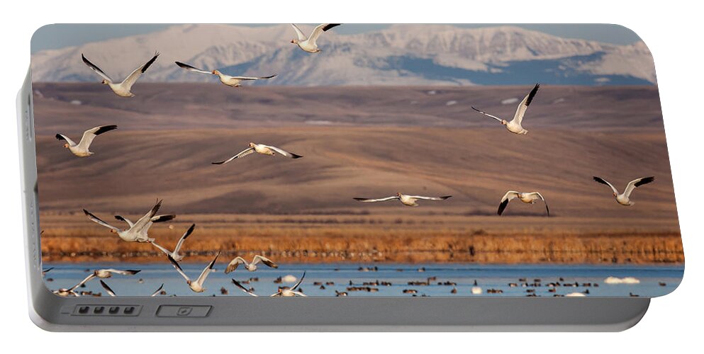 Freezeout Lake Portable Battery Charger featuring the photograph Freeze Out Lake Morning by Jack Bell